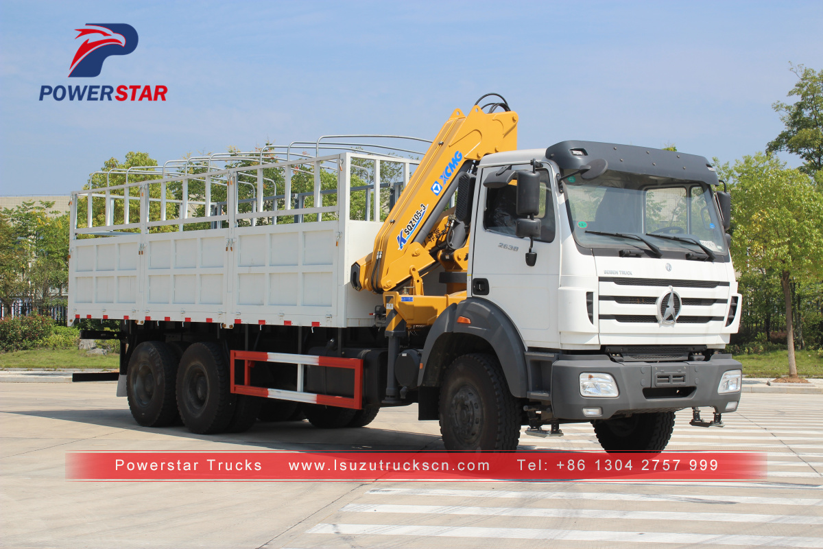 Congo Beiben 10-12ton boom truck mounted crane North benz truck crane for sale