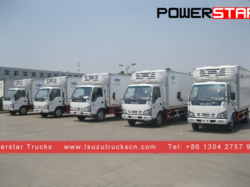 Chile customer made Frozen van ISUZU NKR Reefer Trucks