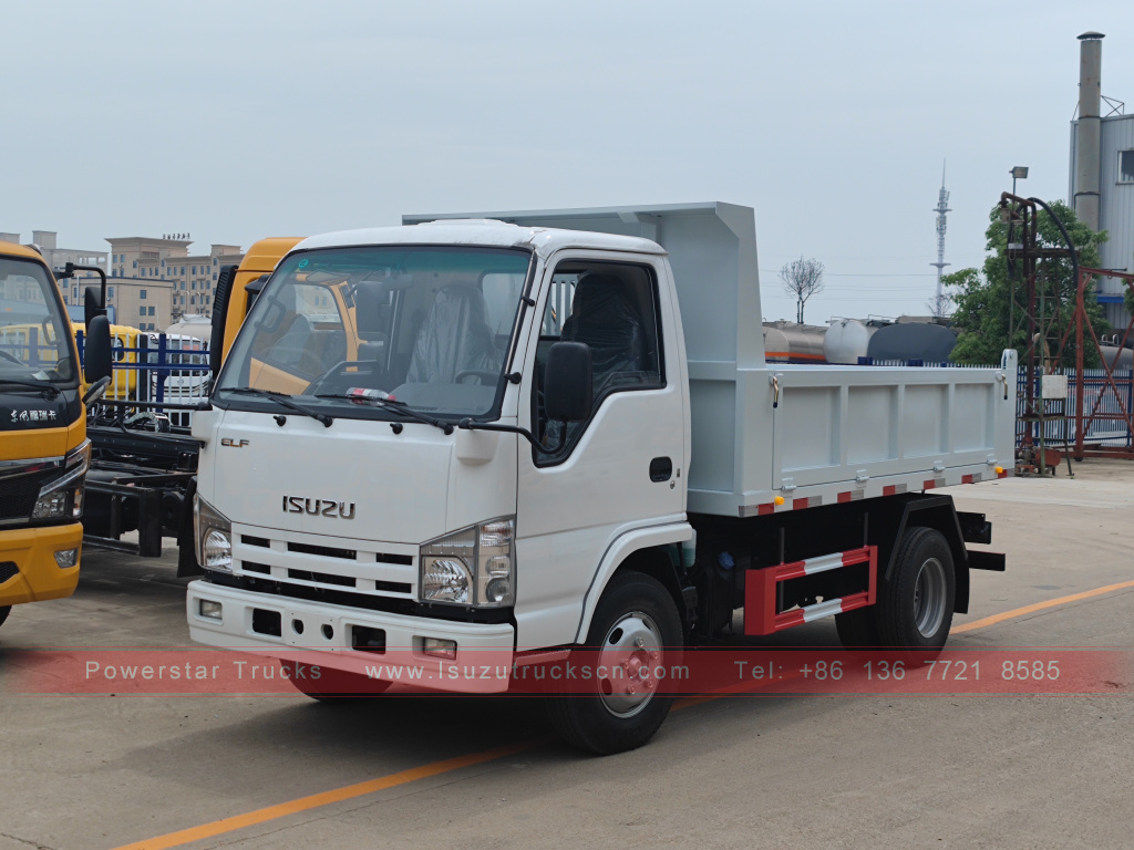 Philippines ISUZU 4X2 6 wheel dump truck 2T 3T 5T Tipper Mini Cargo Truck for Sale