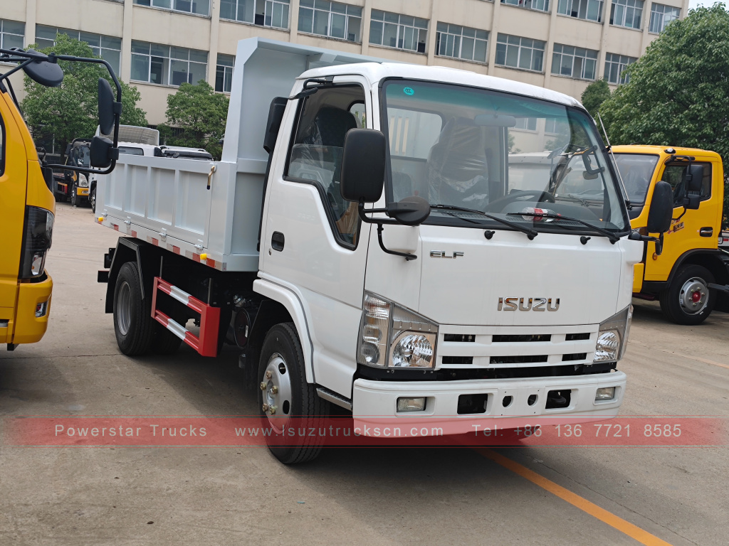 Philippines ISUZU 4X2 6 wheel dump truck 2T 3T 5T Tipper Mini Cargo Truck for Sale