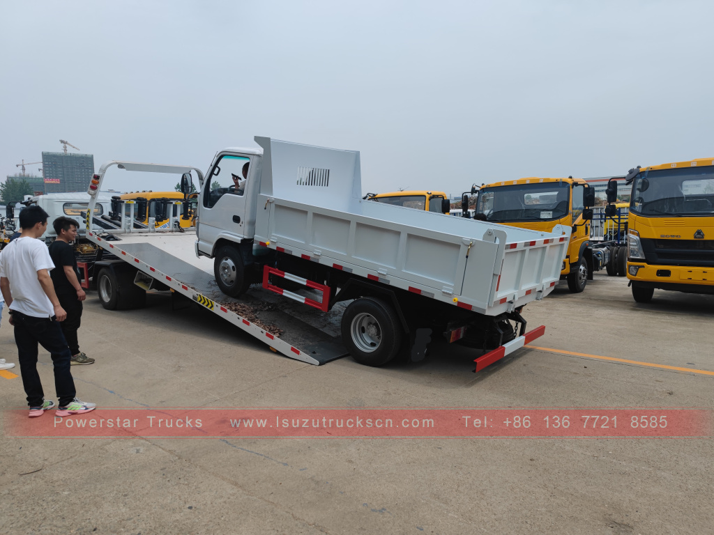 Philippines ISUZU 4X2 6 wheel dump truck 2T 3T 5T Tipper Mini Cargo Truck for Sale