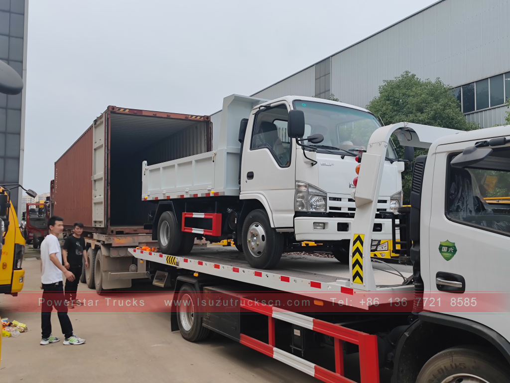 Philippines ISUZU 4X2 6 wheel dump truck 2T 3T 5T Tipper Mini Cargo Truck for Sale