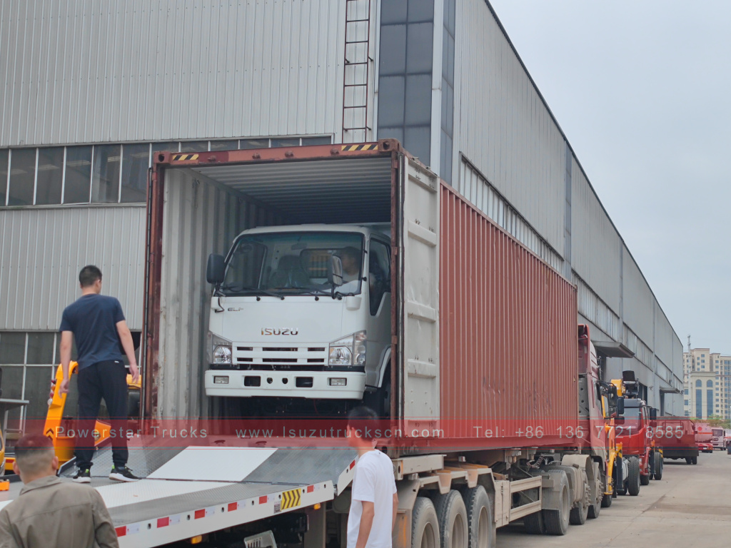 Philippines ISUZU 4X2 6 wheel dump truck 2T 3T 5T Tipper Mini Cargo Truck for Sale