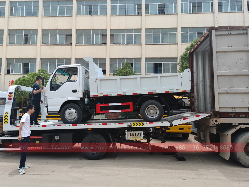 Philippines ISUZU 4X2 6 wheel dump truck 2T 3T 5T Tipper Mini Cargo Truck for Sale