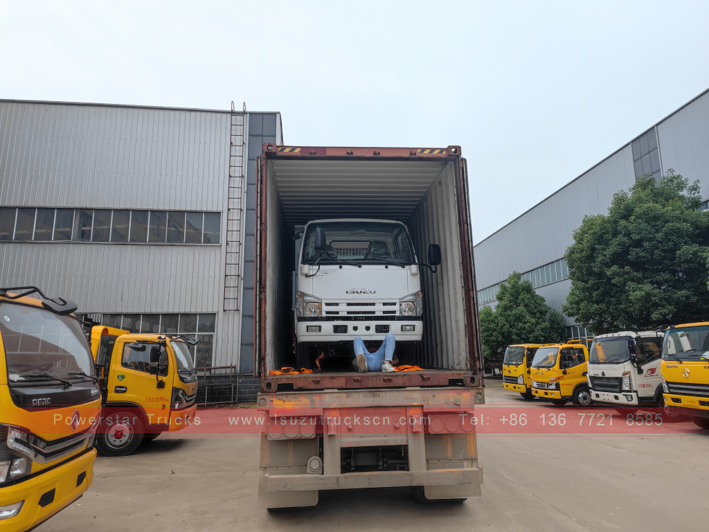 Philippines ISUZU 4X2 6 wheel dump truck 2T 3T 5T Tipper Mini Cargo Truck for Sale