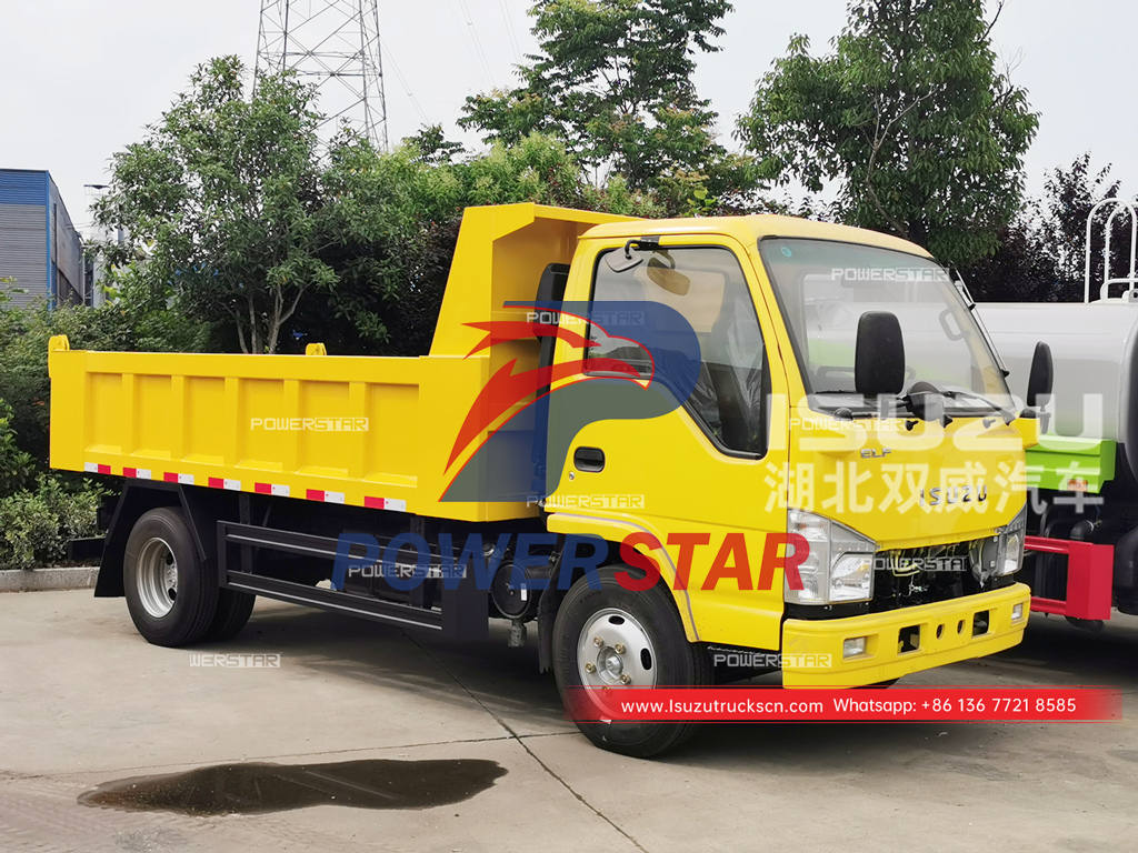 ISUZU NKR small dump truck at best price