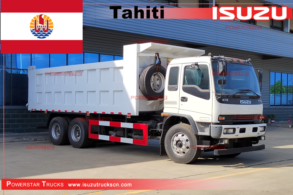 Japan ISUZU FVZ FVR Left Hand Drive 10wheels 6X4 8X4 Dumper Tipper Dump Truck