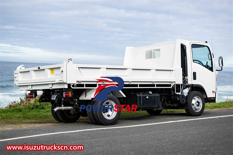 Isuzu ELF 3ton light duty dumper