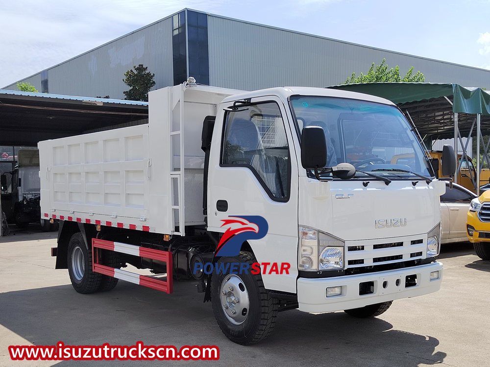 Isuzu dump truck